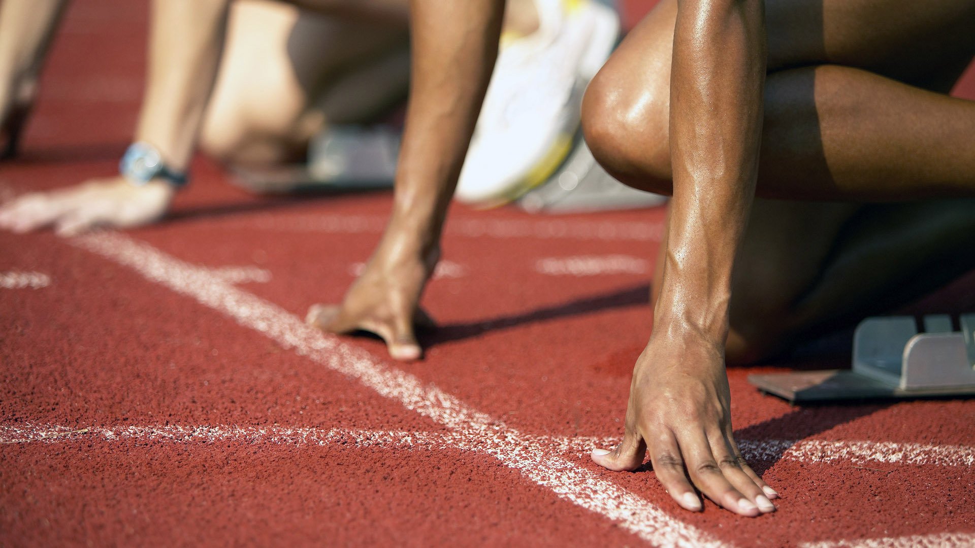 摩洛哥马术协会与亚洲马术协会建立合作关系,推动区域发展。,摩洛哥种马